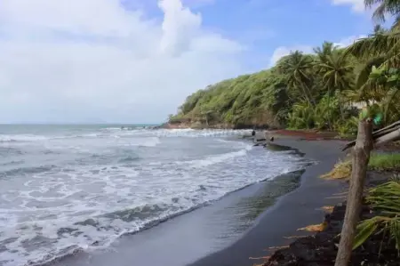 Studio cosy à Capesterre-Belle-Eau avec terrasse - Photo 11