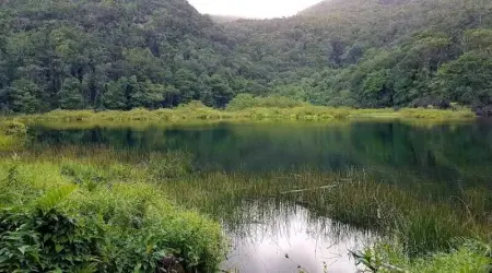 Studio cosy à Capesterre-Belle-Eau avec terrasse - Photo 12