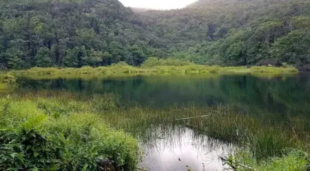 Studio cosy à Capesterre-Belle-Eau avec terrasse - Photo 13
