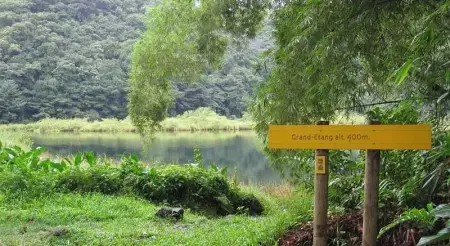 Studio cosy à Capesterre-Belle-Eau avec terrasse - Photo 14