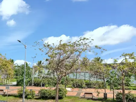 Appartement moderne avec vue sur la mer - La Trinité - 79.8 m² - Photo 9