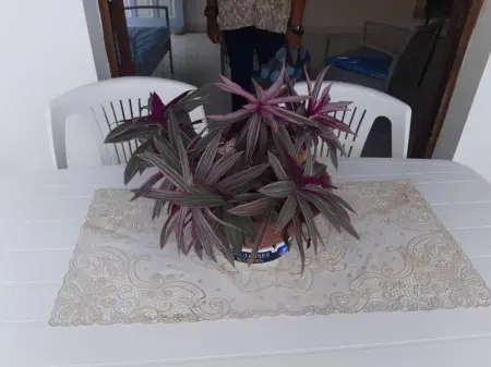 Appartement charmant à Sainte-Marie avec terrasse de 88 m² - Photo 10