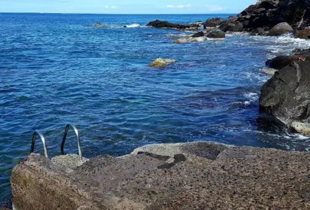 Bungalow confortable à Bouillante, 40 m² avec piscine partagée - Photo 13