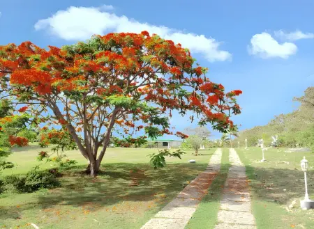 Maison familiale avec piscine privée à Saint-François - Photo 34