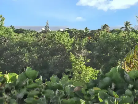 Maison familiale avec piscine privée à Saint-François - Photo 38
