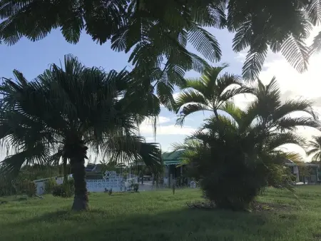 Maison familiale avec piscine privée à Saint-François - Photo 40