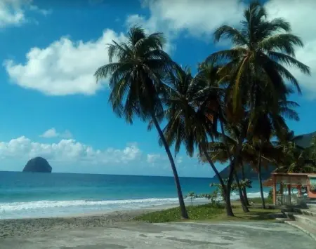 Appartement confortable au Diamant avec terrasse privative - 40 m² - Photo 15