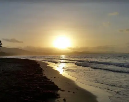 Appartement confortable au Diamant avec terrasse privative - 40 m² - Photo 16