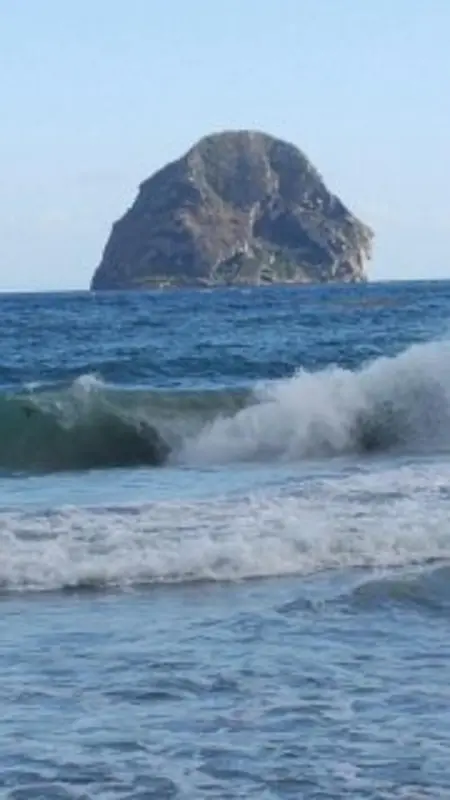 Appartement confortable au Diamant avec terrasse privative - 40 m² - Photo 17