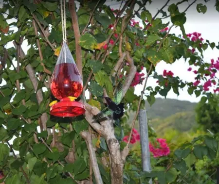 Appartement confortable au Diamant avec terrasse privative - 40 m² - Photo 18