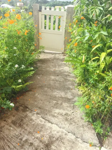 Charmant studio à La Trinité de 20 m², Appartement 2 personnes à La Trinité - Photo 4