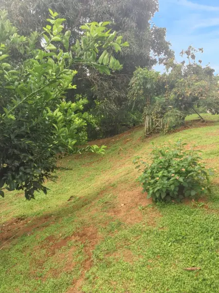 Charmant studio à La Trinité de 20 m², Appartement 2 personnes à La Trinité - Photo 6