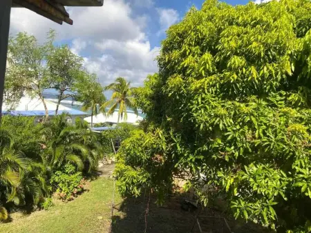 Appartement avec vue sur la mer au Moule - 60 m² - Photo 8