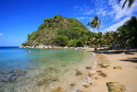 Studio avec vue sur la mer à Capesterre 25 m² 1 chambre - Photo 6