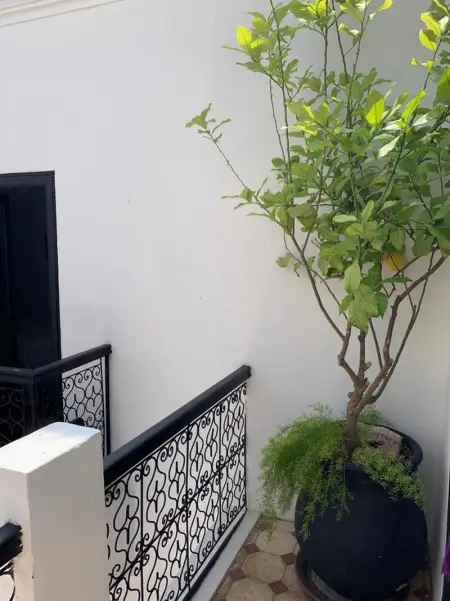 Villa élégante Médina Marrakech + Piscine, Villa 11 personnes à Médina, Marrakech - Photo 29