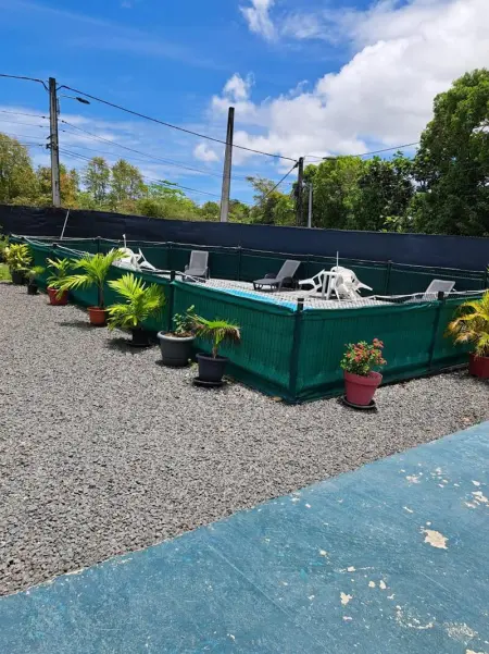 Maison charmante proche de la plage au Moule avec piscine - Photo 11