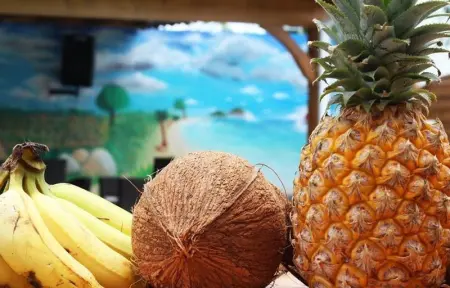 Villa élégante à Anse-Bertrand avec piscine, Villa 6 personnes à Anse Bertrand - Photo 9