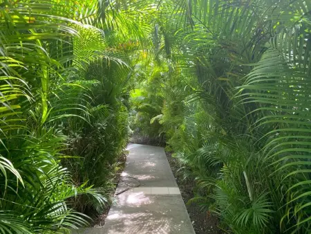 Appartement charmant Le Moule + piscine, Appartement 2 personnes à Le Moule - Photo 18