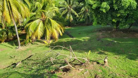 Appartement vue mer avec piscine privée à La Trinité, 98m² - Photo 14