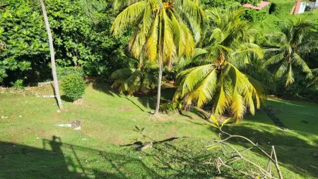 Appartement vue mer avec piscine privée à La Trinité, 98m² - Photo 15