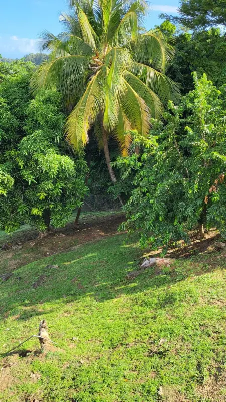 Appartement vue mer avec piscine privée à La Trinité, 98m² - Photo 16