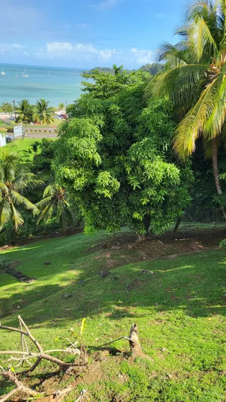 Appartement vue mer avec piscine privée à La Trinité, 98m² - Photo 17