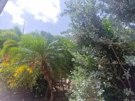 Maison charmante à Le Moule avec piscine partagée - Photo 32