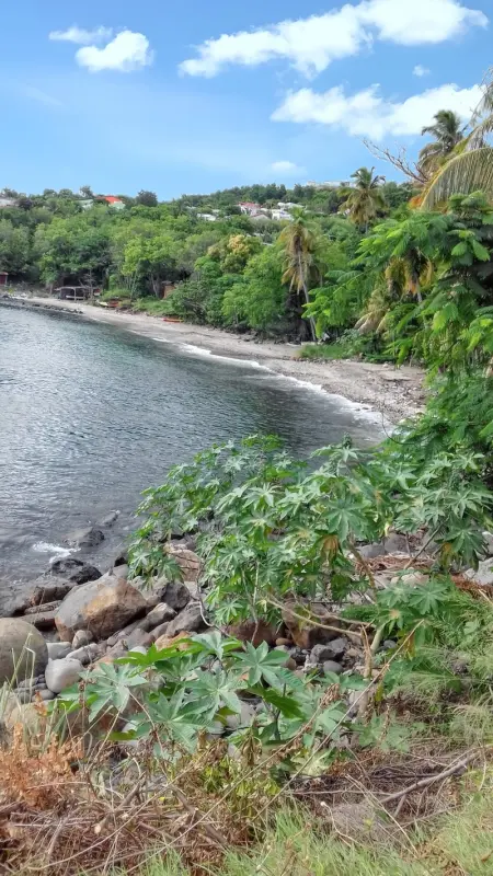 Appartement confortable à Pointe-Noire 35 m² vue mer - Photo 11