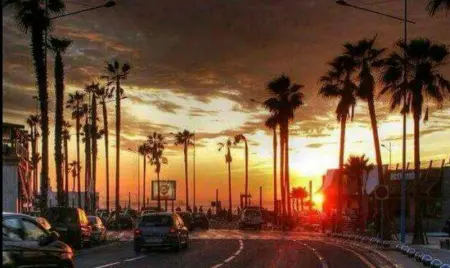 Appartement cosy à Casablanca avec balcon - 45 m² et jardin - Photo 13