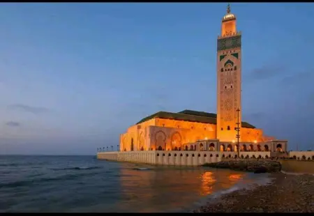 Appartement cosy à Casablanca avec balcon - 45 m² et jardin - Photo 14