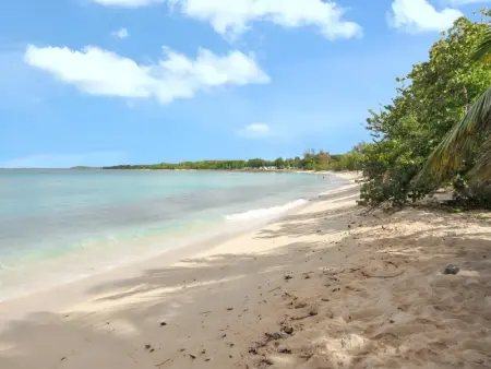 Appartement charmant à Port-Louis avec jardin clôturé - Photo 1