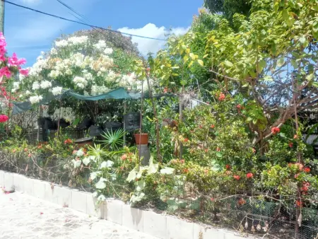 Appartement charmant à Port-Louis avec jardin clôturé - Photo 13