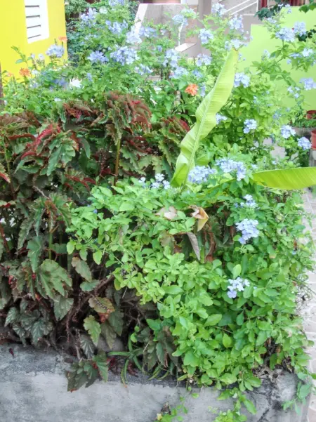 Appartement charmant à Port-Louis avec jardin clôturé - Photo 17