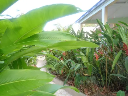 Appartement charmant à Port-Louis avec jardin clôturé - Photo 18