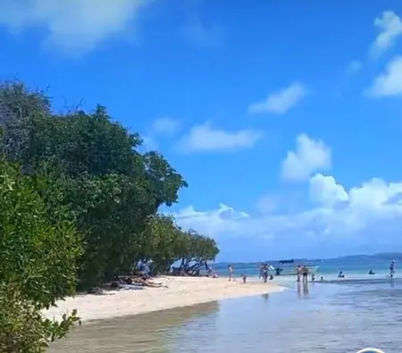 Studio charmant avec vue sur la mer - 45 m² - Le Robert - Photo 16