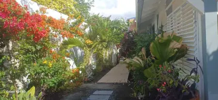 Villa élégante à Bouillante avec piscine privée - Photo 47