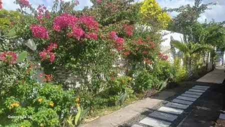 Villa élégante à Bouillante avec piscine privée - Photo 58