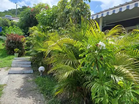 Villa élégante à Bouillante avec piscine privée - Photo 61