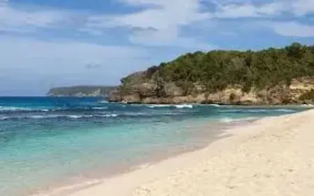 Bungalow élégant à Anse-Bertrand avec jardin privé - Photo 6