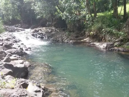 Bungalow charmant à Pointe-Noire avec piscine partagée - Photo 7