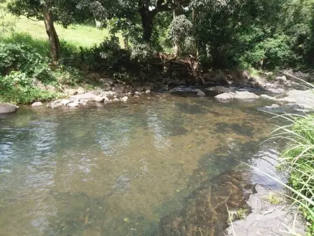 Bungalow charmant à Pointe-Noire avec piscine partagée - Photo 8