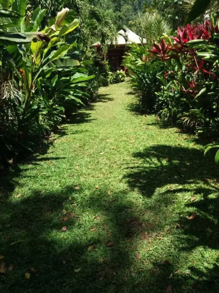 Bungalow charmant à Pointe-Noire avec piscine partagée - Photo 9