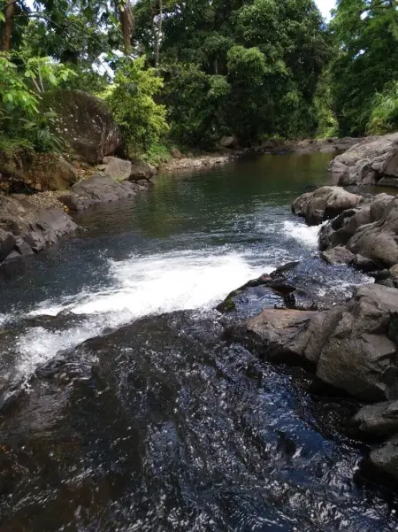 Bungalow charmant à Pointe-Noire avec piscine partagée - Photo 13