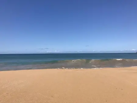 Charmant appartement à Pointe-Noire 51 m² avec piscine partagee - Photo 4