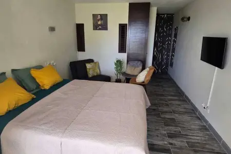 Studio charmant à La Trinité avec piscine partagée - 24 m² - Photo 2