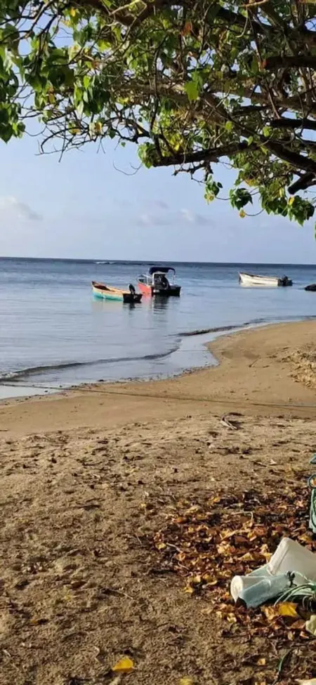 Studio charmant à La Trinité avec piscine partagée - 24 m² - Photo 9