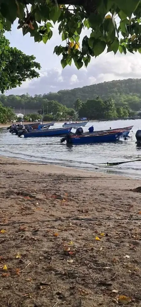 Studio charmant à La Trinité avec piscine partagée - 24 m² - Photo 10