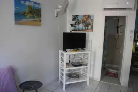 Studio confortable à La Trinité 30 m² avec vue mer et jardin - Photo 3