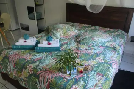 Studio confortable à La Trinité 30 m² avec vue mer et jardin - Photo 4