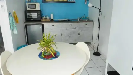 Studio confortable à La Trinité 30 m² avec vue mer et jardin - Photo 5